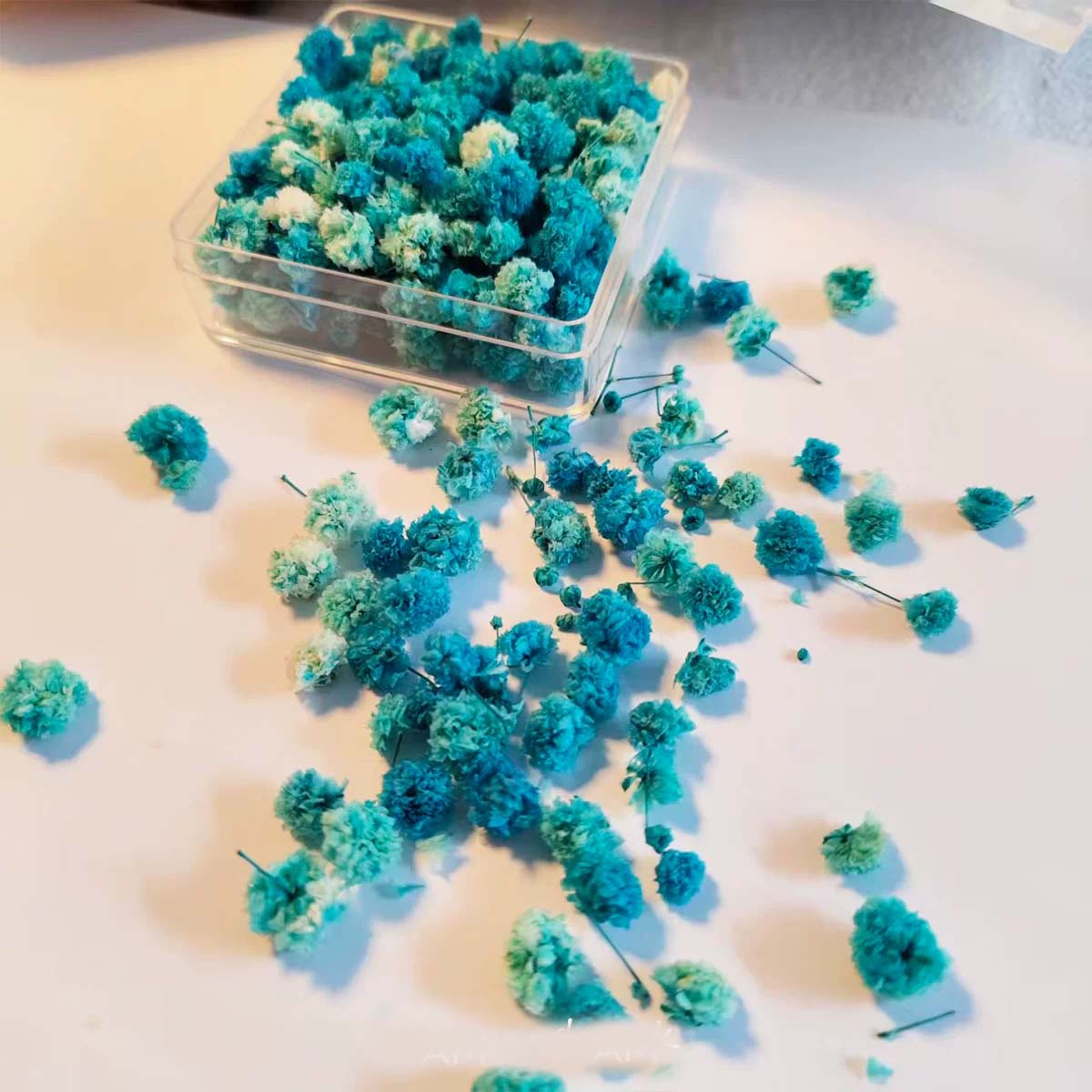 1 Box Flower Heads for DIY Han - Soap Making Book 评论和价格